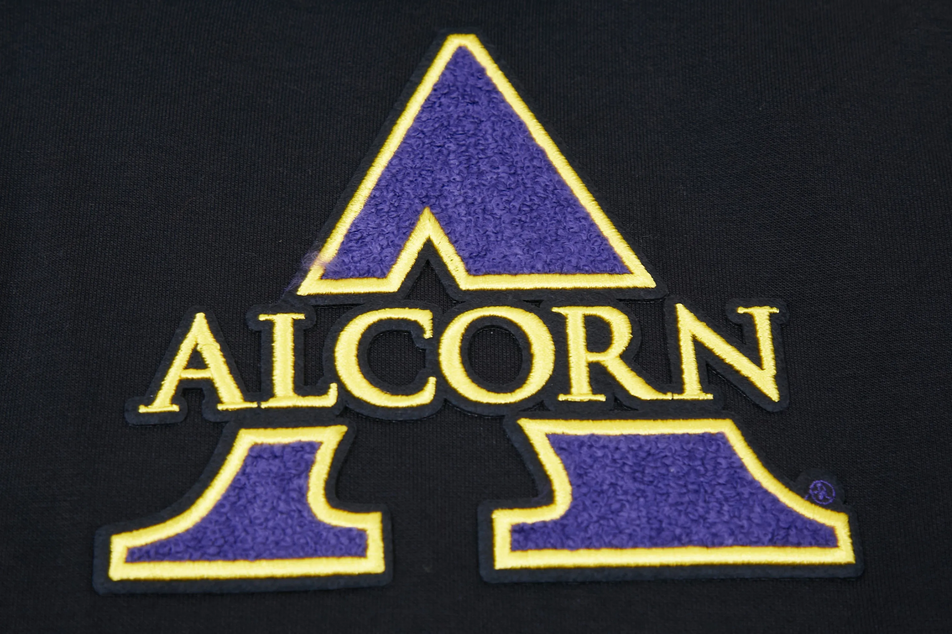 ALCORN STATE UNIVERSITY CLASSIC MEN'S PO HOODIE (BLACK)