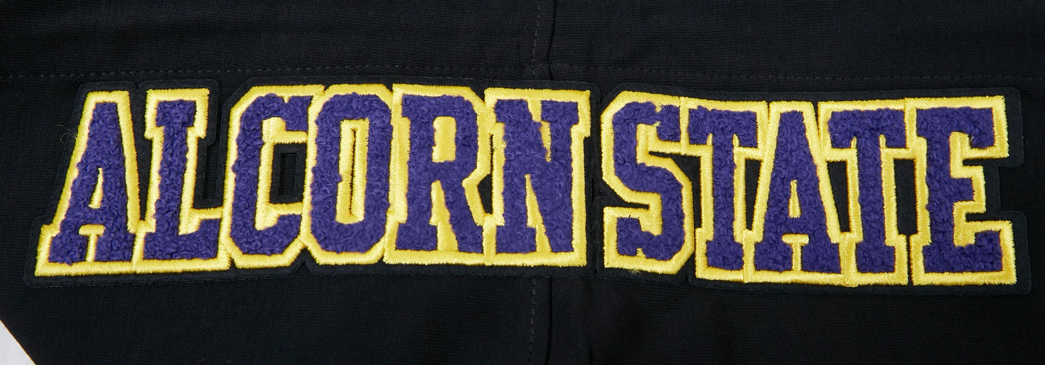 ALCORN STATE UNIVERSITY CLASSIC MEN'S PO HOODIE (BLACK)