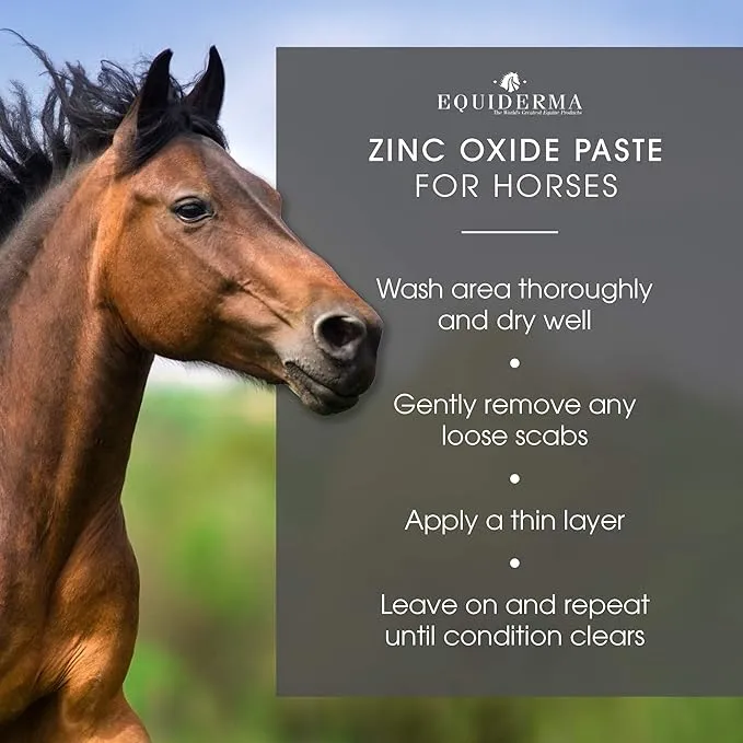 Equiderma Zinc Oxide Paste