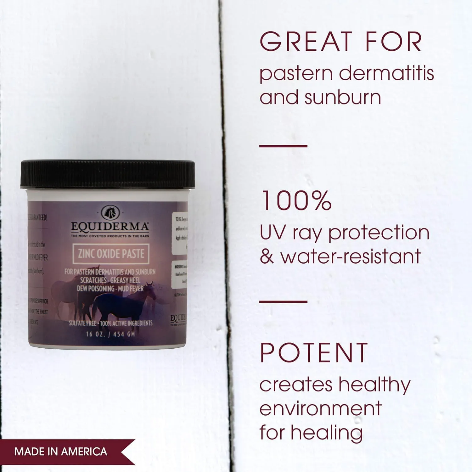 Equiderma Zinc Oxide Paste