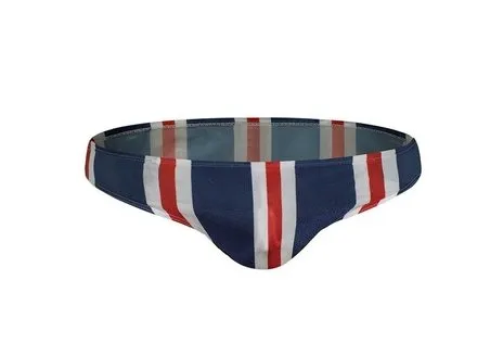 Saint-Tropez Striped Swim Briefs